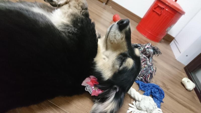 寝てますが何か??