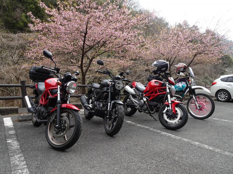 2021.3月20日 奥多摩 麦山ツーリング